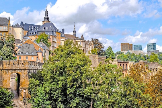 Luxembourg Directorship Searches